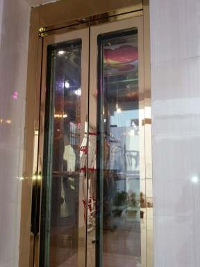 Elevator door panel and call button